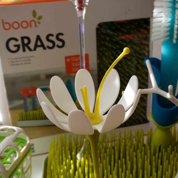 Boon grass with 7 items - Picture 3 of 4